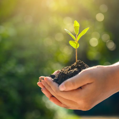 HEALTH & WELLBEING - JUSTBLiSS Naturals