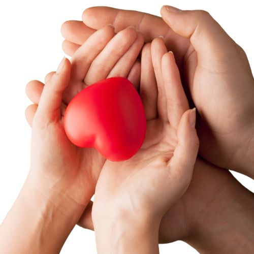 LIFESTYLE & HOME - JUSTBLiSS Naturals