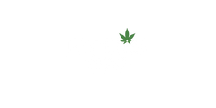 JUSTBLiSS Naturals – Your One-Stop Shop for Natural Living | Skincare, Body, Hair & Home Wellness, South Africa