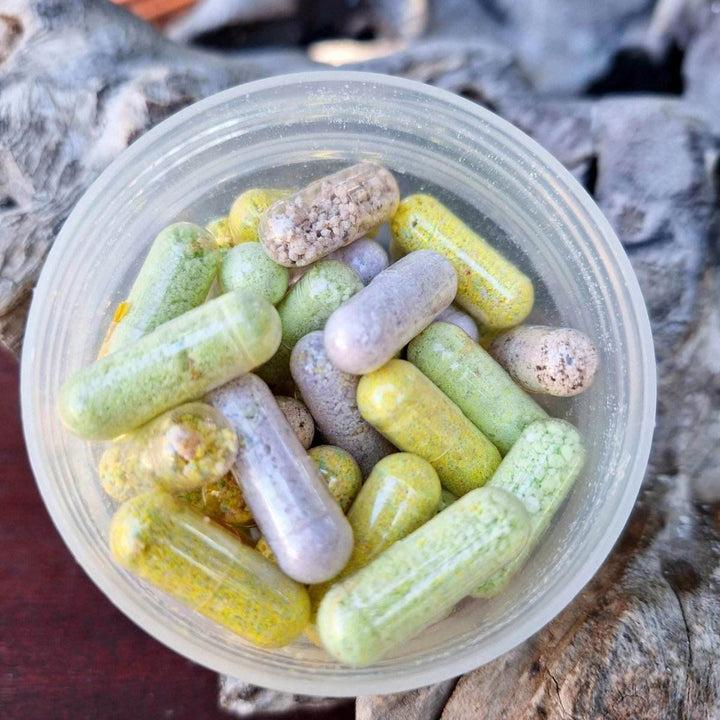 {{ product_title }} – Natural Skincare & Plant-Based by JUSTBLiSS Naturals, South Africa