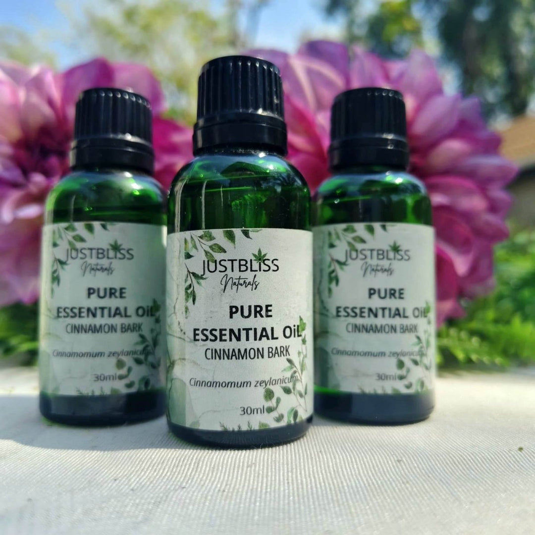 Cinnamon Bark Essential Oil – Pure, Warming & Ethically Sourced JUSTBLiSS Naturals