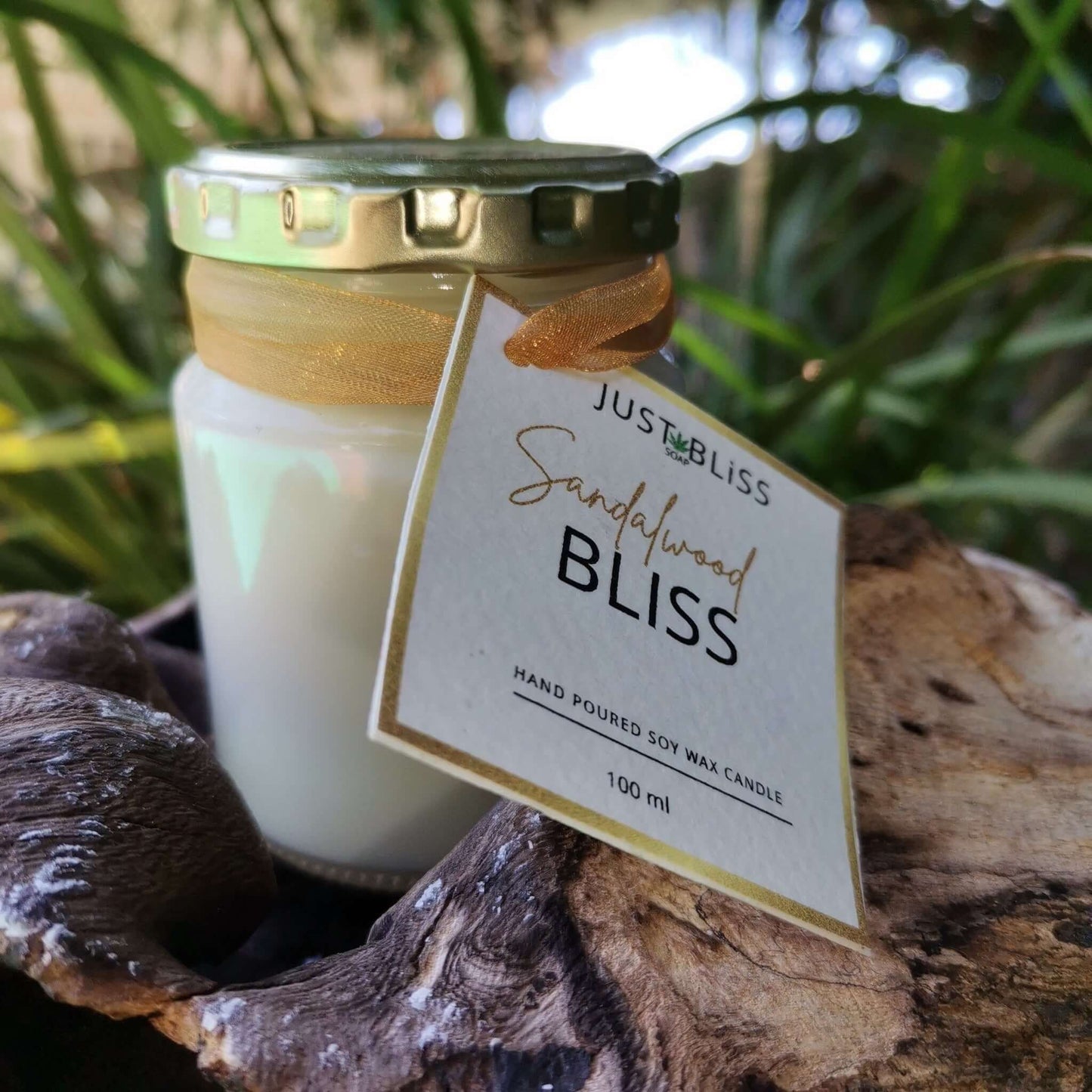 JUSTBLISS: PAMPER CANDLE: 100ml