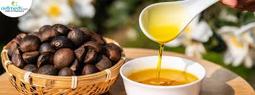 CAMELIA OIL: GENTLE, NON-GREASY NOURISHMENT (THE GEISHA'S SECRET) - JUSTBLiSS Naturals