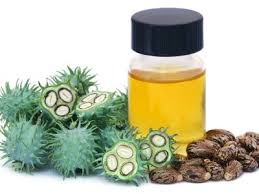 Castor Oil vs. Miracle Facial Oil Ingredients: Which is Better for Your Skin? - JUSTBLiSS Naturals