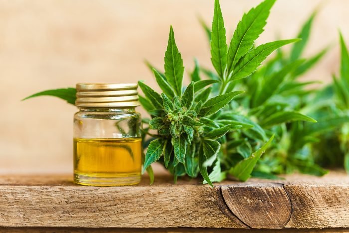 FATTY ACIDS FOR SKIN CARE: WHY HEMP OIL IS YOUR NEW BEST FRIEND - JUSTBLiSS Naturals