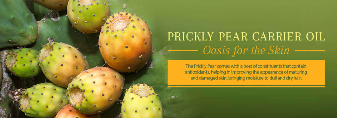 PRICKLY PEAR OIL, Oasis for the skin! - JUSTBLiSS Naturals