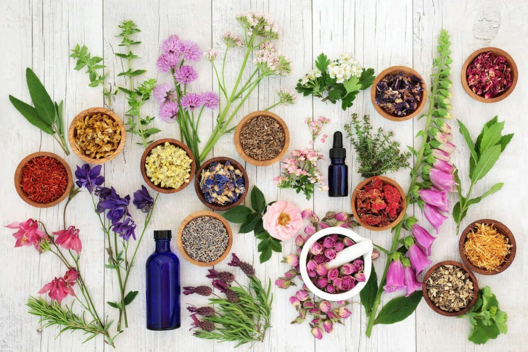 WHAT ARE PURE ESSENTIAL OILS? - JUSTBLiSS Naturals