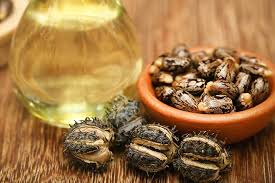 WHAT IS CASTOR OIL? - JUSTBLiSS Naturals
