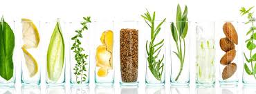 WHY PLANT BASED SKINCARE? - JUSTBLiSS Naturals