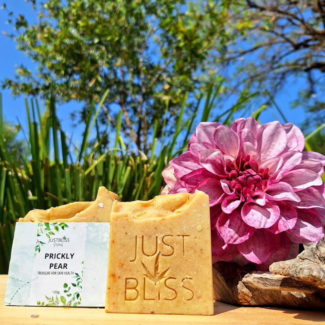 Prickly Pear Natural Soap Bar – Detoxifying, Vegan, Handcrafted - JUSTBLiSS Naturals