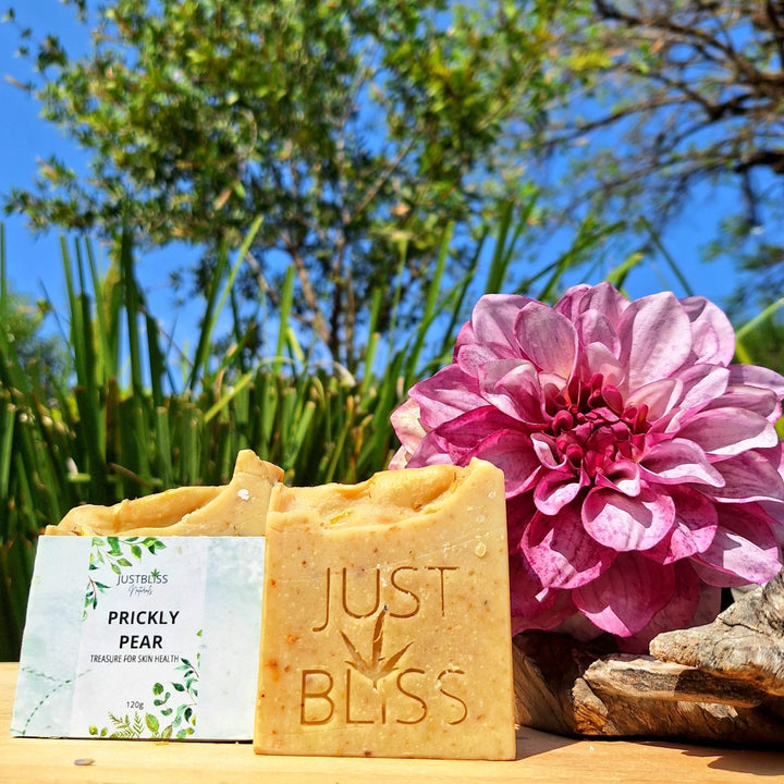 Prickly Pear Natural Soap Bar – Detoxifying, Vegan, Handcrafted - JUSTBLiSS Naturals