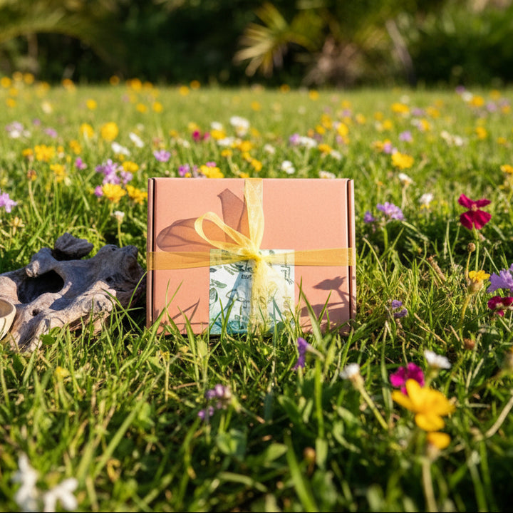 Artisan Soap Bar &amp; Handmade Pottery Dish Gift Set – Eco-Friendly Self-Care Duo - JUSTBLiSS Naturals