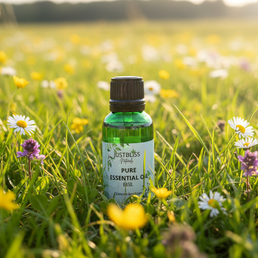Basil Essential Oil – Pure Plant-Based Aromatherapy for Clarity &amp; Wellness - JUSTBLiSS Naturals