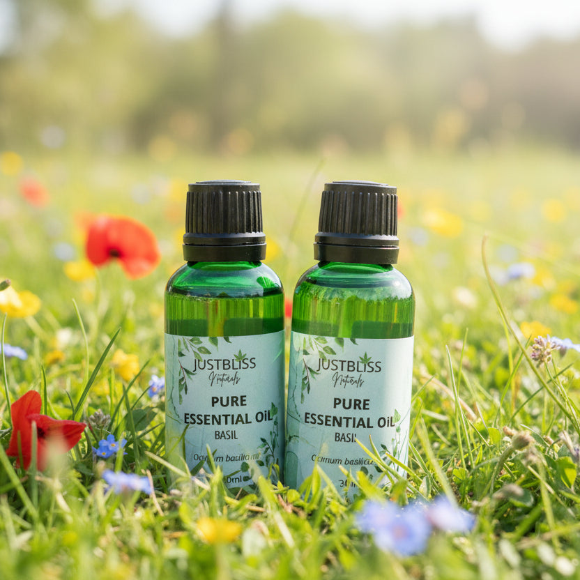 Basil Essential Oil – Pure Plant-Based Aromatherapy for Clarity &amp; Wellness - JUSTBLiSS Naturals