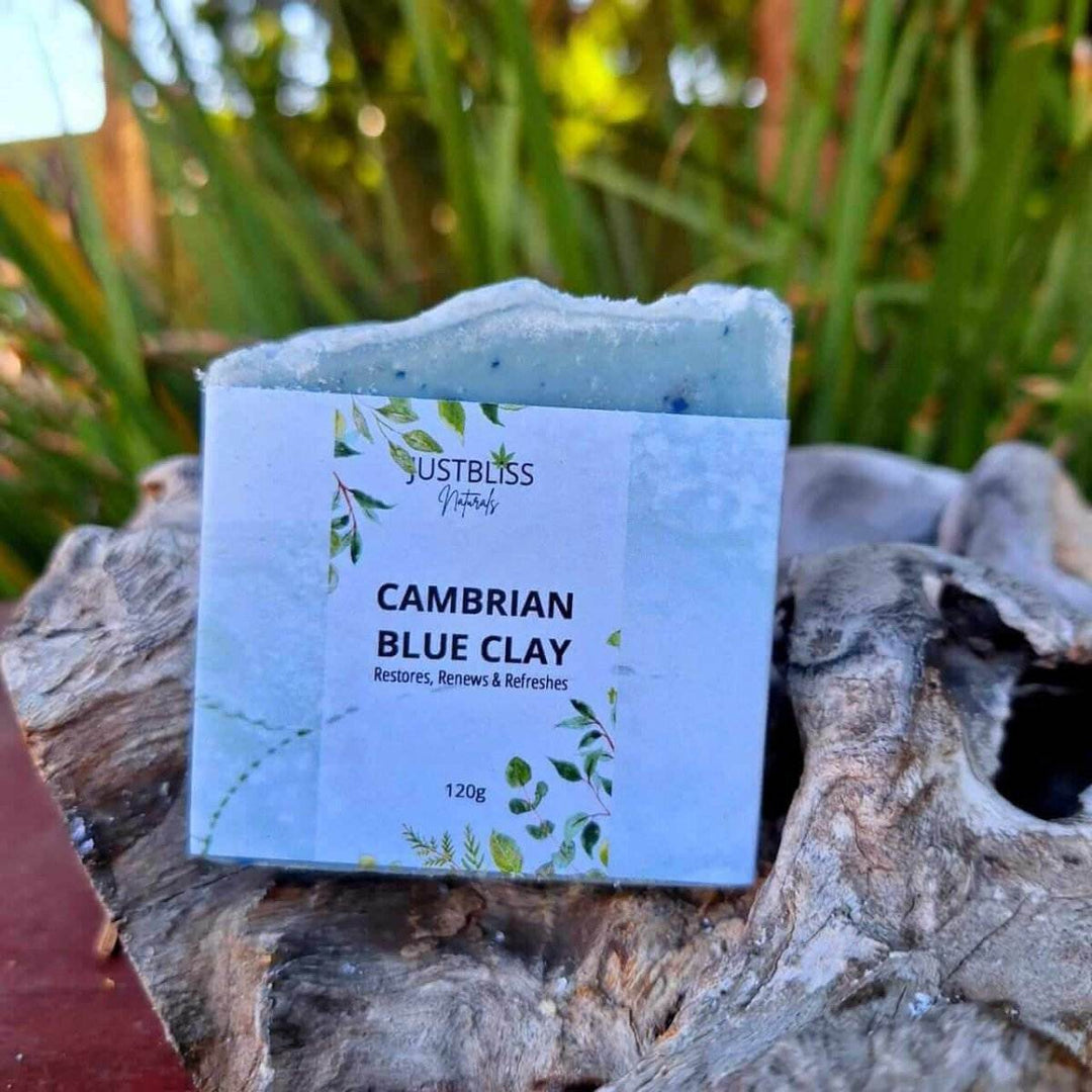 Cambrian Blue Clay Soap Bar – Detox Vegan Cleanser for Clear Skin - JUSTBLiSS Naturals