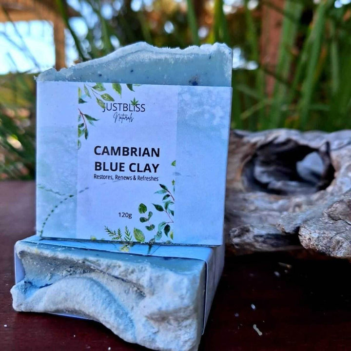 Cambrian Blue Clay Soap Bar – Detox Vegan Cleanser for Clear Skin - JUSTBLiSS Naturals