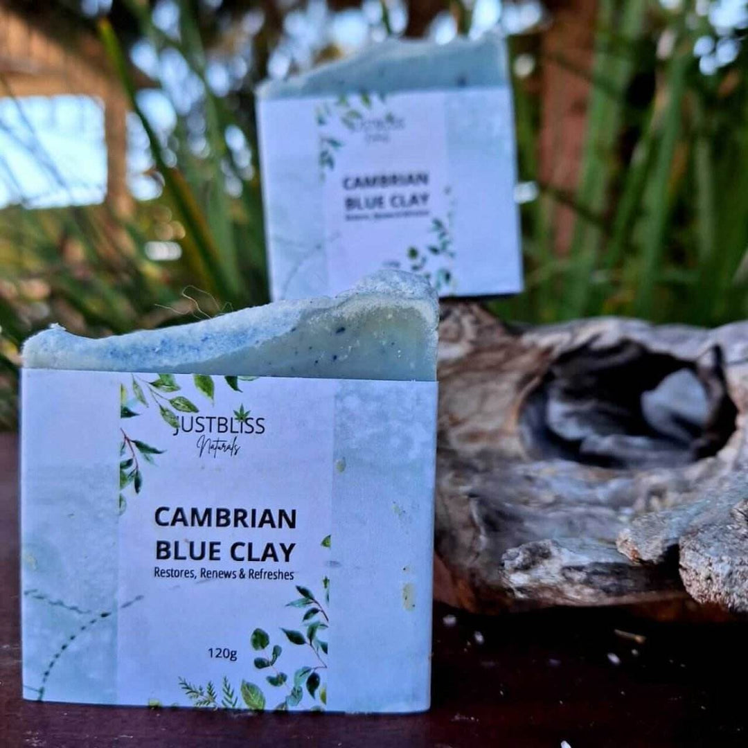Cambrian Blue Clay Soap Bar – Detox Vegan Cleanser for Clear Skin - JUSTBLiSS Naturals