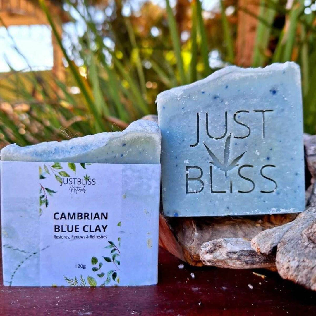 Cambrian Blue Clay Soap Bar – Detox Vegan Cleanser for Clear Skin - JUSTBLiSS Naturals