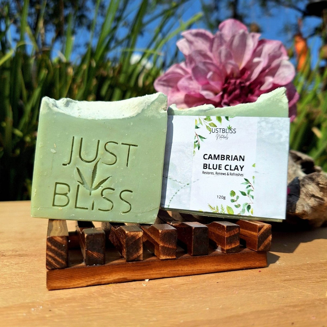 Cambrian Blue Clay Soap Bar – Detox Vegan Cleanser for Clear Skin - JUSTBLiSS Naturals