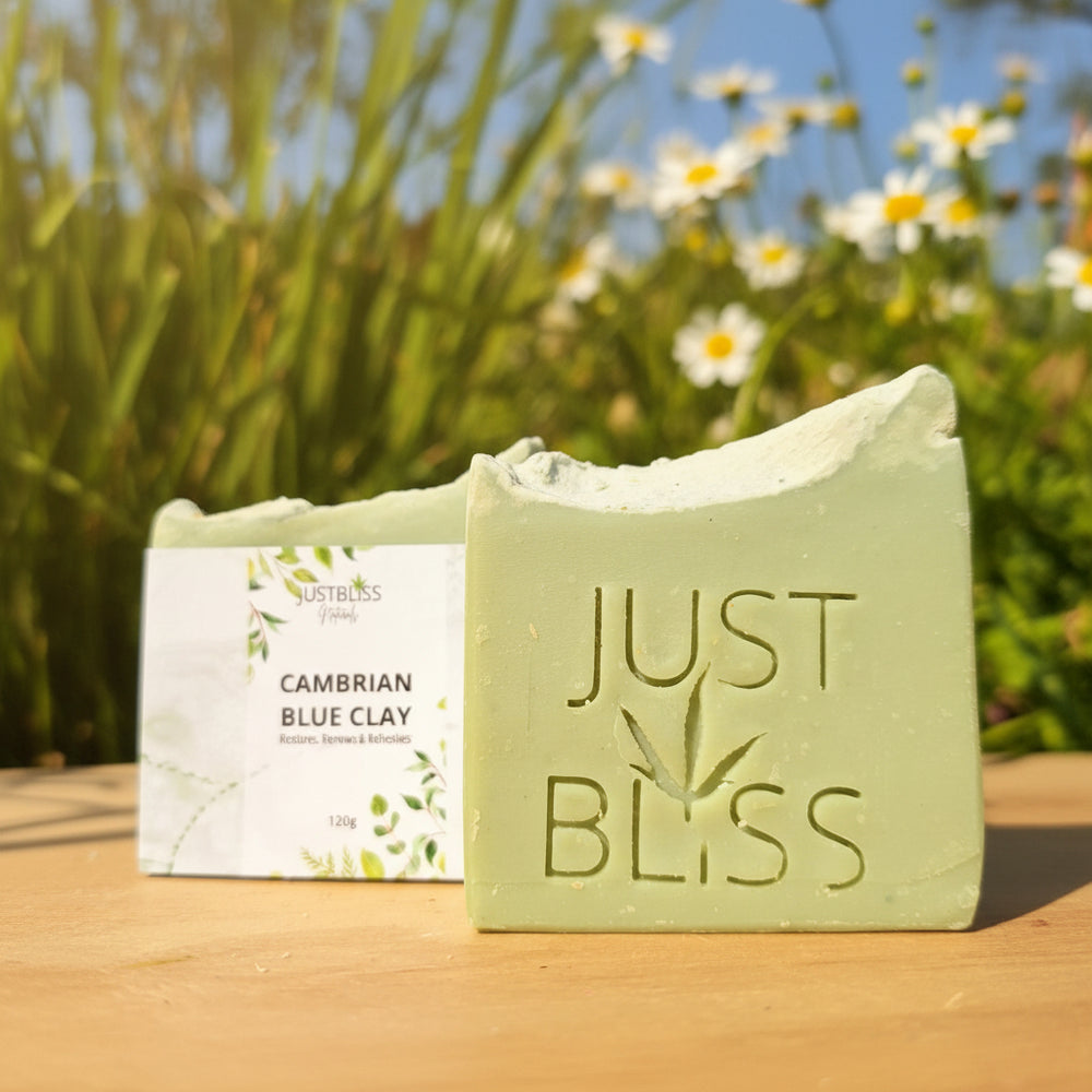 Cambrian Blue Clay Soap Bar – Detox Vegan Cleanser for Clear Skin - JUSTBLiSS Naturals