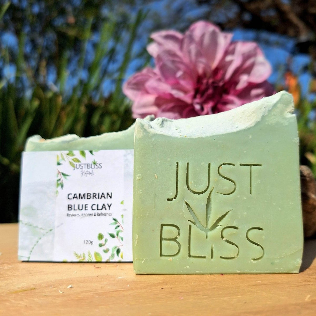 Cambrian Blue Clay Soap Bar – Detox Vegan Cleanser for Clear Skin - JUSTBLiSS Naturals