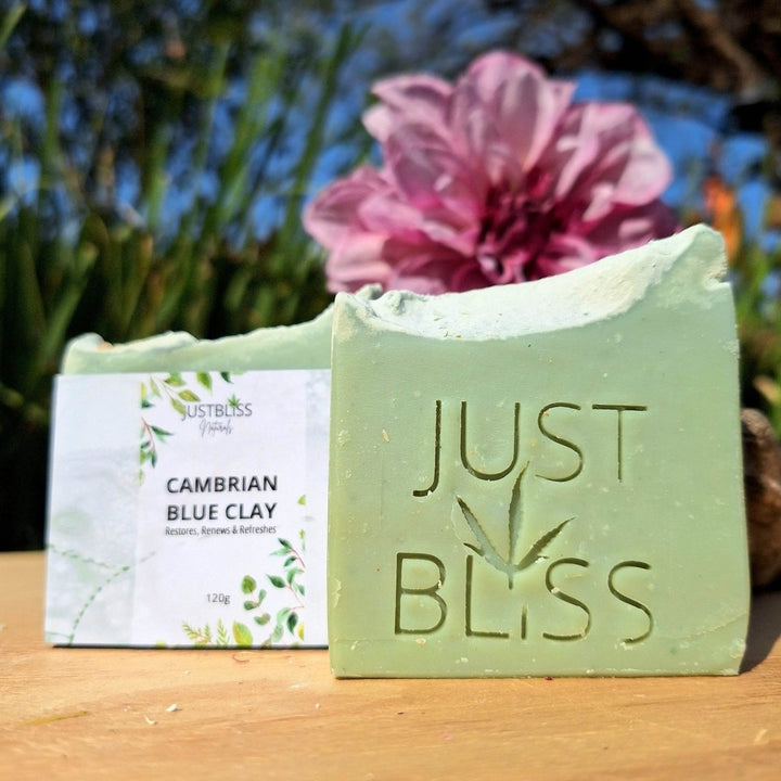Cambrian Blue Clay Soap Bar – Detox Vegan Cleanser for Clear Skin - JUSTBLiSS Naturals