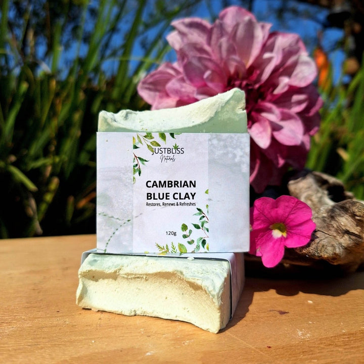 Cambrian Blue Clay Soap Bar – Detox Vegan Cleanser for Clear Skin - JUSTBLiSS Naturals
