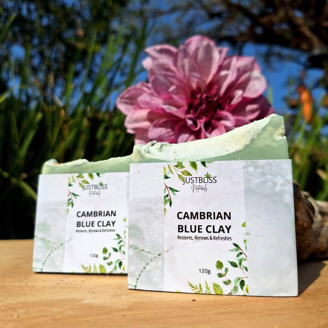 Cambrian Blue Clay Soap Bar – Detox Vegan Cleanser for Clear Skin - JUSTBLiSS Naturals