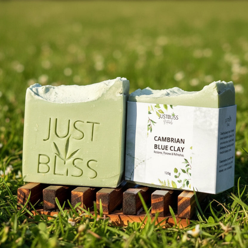 Cambrian Blue Clay Soap Bar – Detox Vegan Cleanser for Clear Skin - JUSTBLiSS Naturals