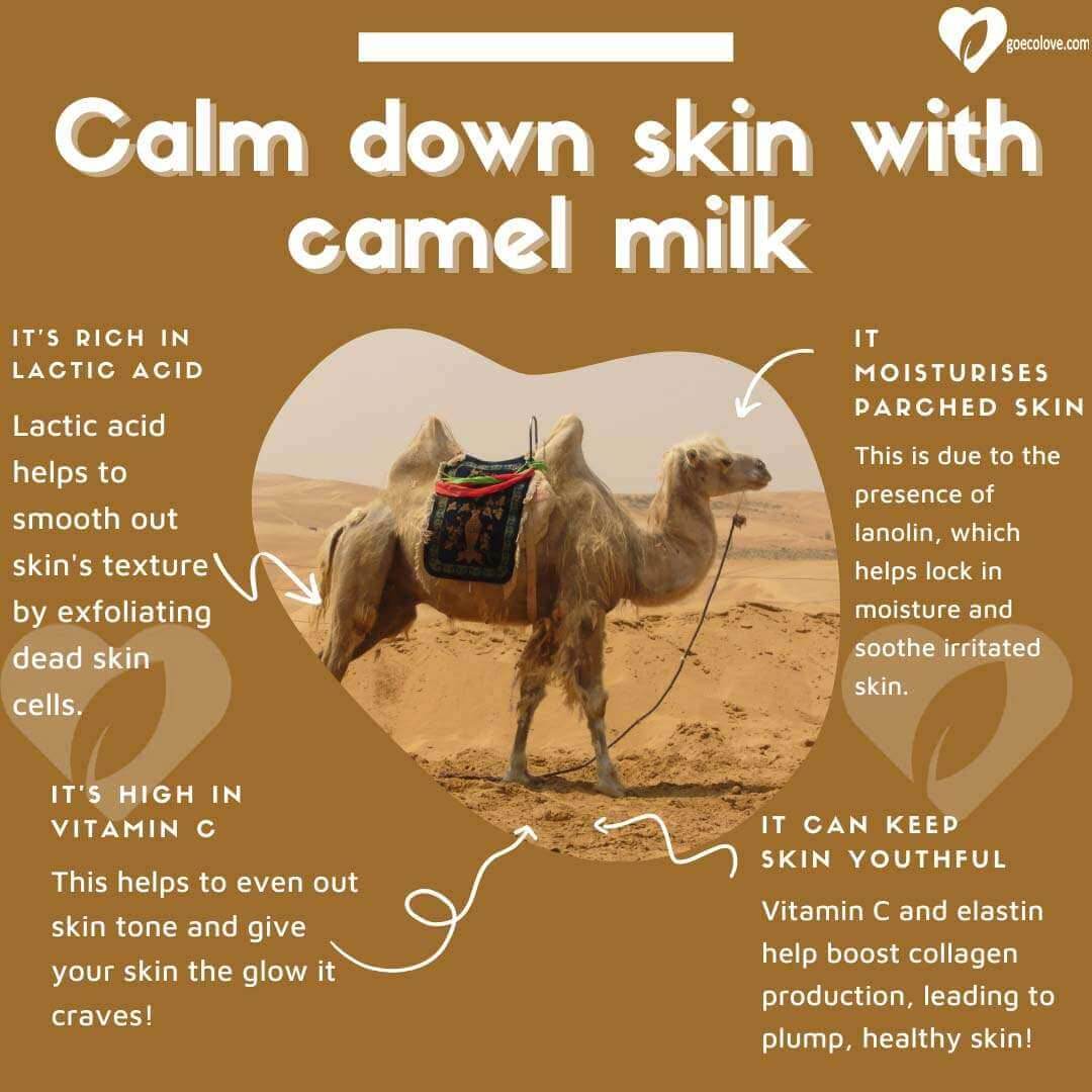 Camel Milk &amp; Oatmeal Soap Bar – Fragrance-Free, Soothing for Sensitive Skin - JUSTBLiSS Naturals