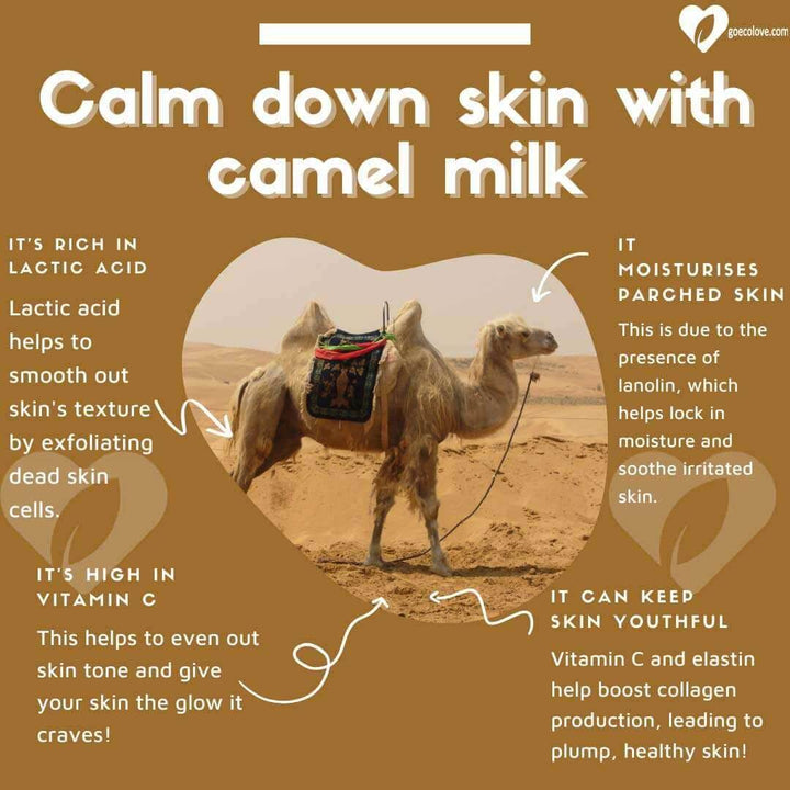 Camel Milk &amp; Oatmeal Soap Bar – Fragrance-Free, Soothing for Sensitive Skin - JUSTBLiSS Naturals