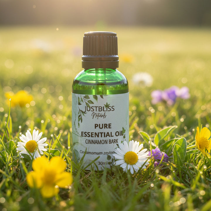 Cinnamon Bark Essential Oil – Pure, Warming, Ethically Sourced Wellness - JUSTBLiSS Naturals