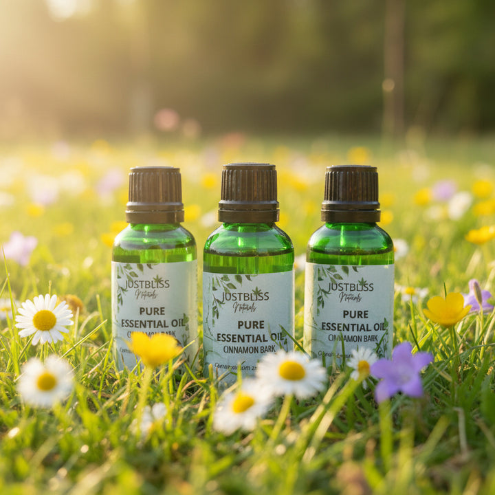 Cinnamon Bark Essential Oil – Pure, Warming, Ethically Sourced Wellness - JUSTBLiSS Naturals