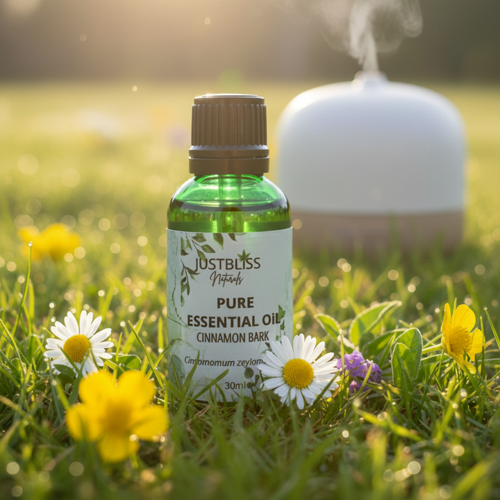Cinnamon Bark Essential Oil – Pure Warm Spiced Aroma