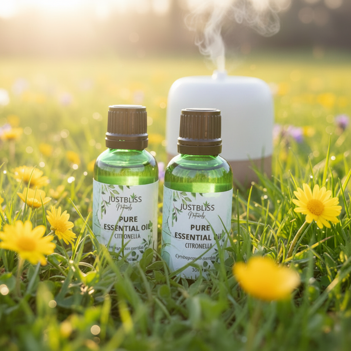 Citronella Essential Oil – Natural Insect Repellent &amp; Mood Booster