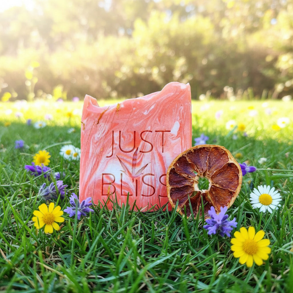 Dream Collection Soap Gift Box – Plant-Based Scented Bars for Mindful Self-Care - JUSTBLiSS Naturals