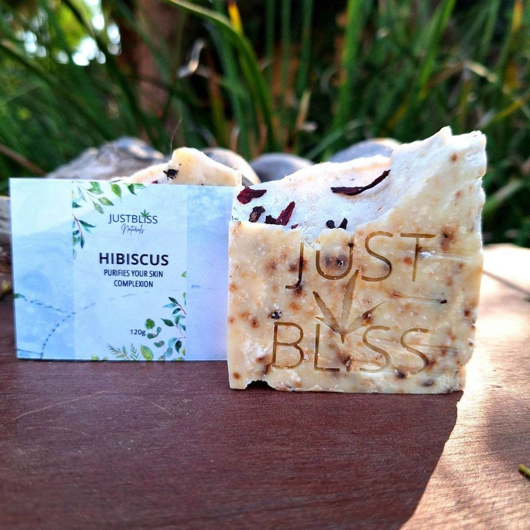 Hibiscus Soap Bar – Vegan Exfoliating Cleanser for Radiant Skin - JUSTBLiSS Naturals