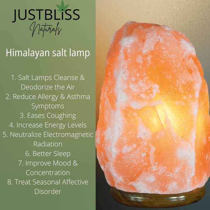 Himalayan Salt Lamp – Natural Air Purifier &amp; Wellness Light - JUSTBLiSS Naturals
