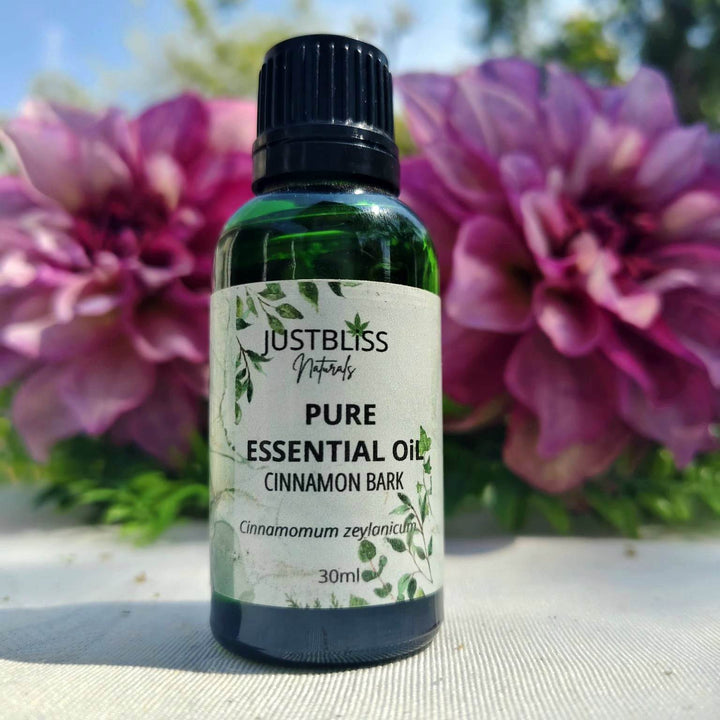 Cinnamon Bark Essential Oil (Standard) – Pure, Warming Aromatherapy - JUSTBLiSS Naturals
