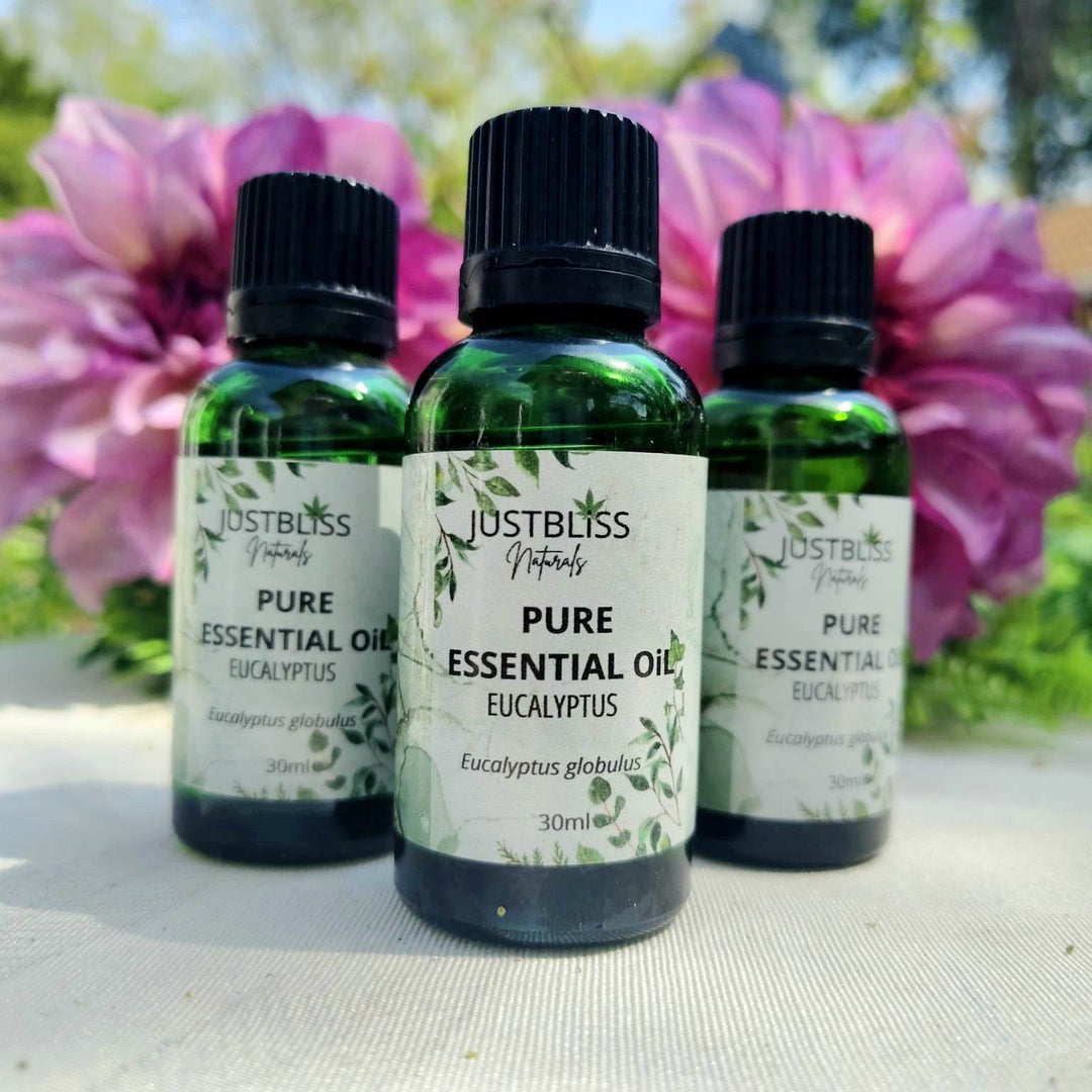 Organic Eucalyptus Globulus Essential Oil – Respiratory & Immune Support - JUSTBLiSS Naturals