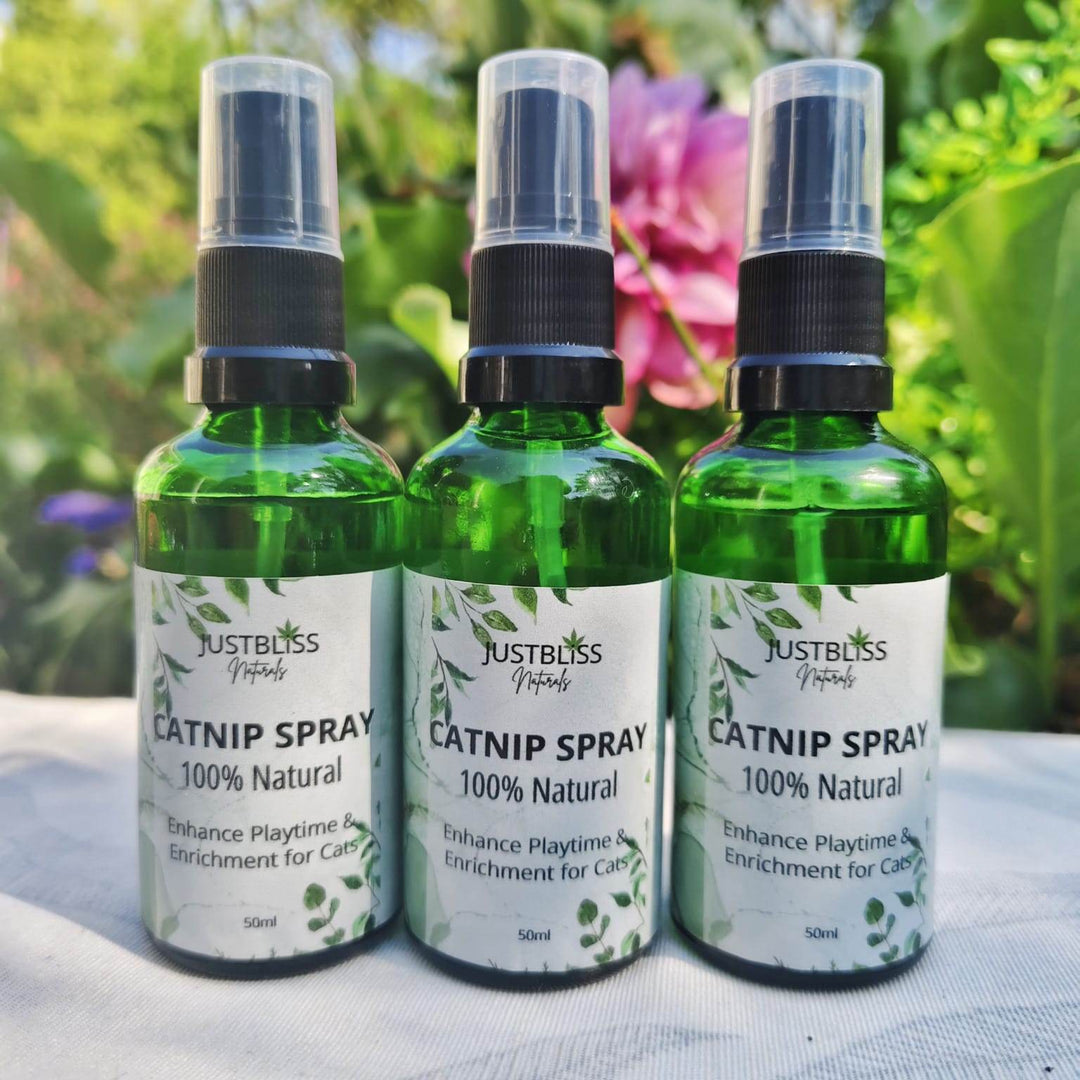 Natural Organic Catnip for Cats – Pure, Potent & Chemical-Free - JUSTBLiSS Naturals