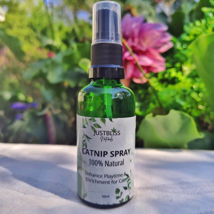 Natural Organic Catnip for Cats – Pure, Potent & Chemical-Free - JUSTBLiSS Naturals