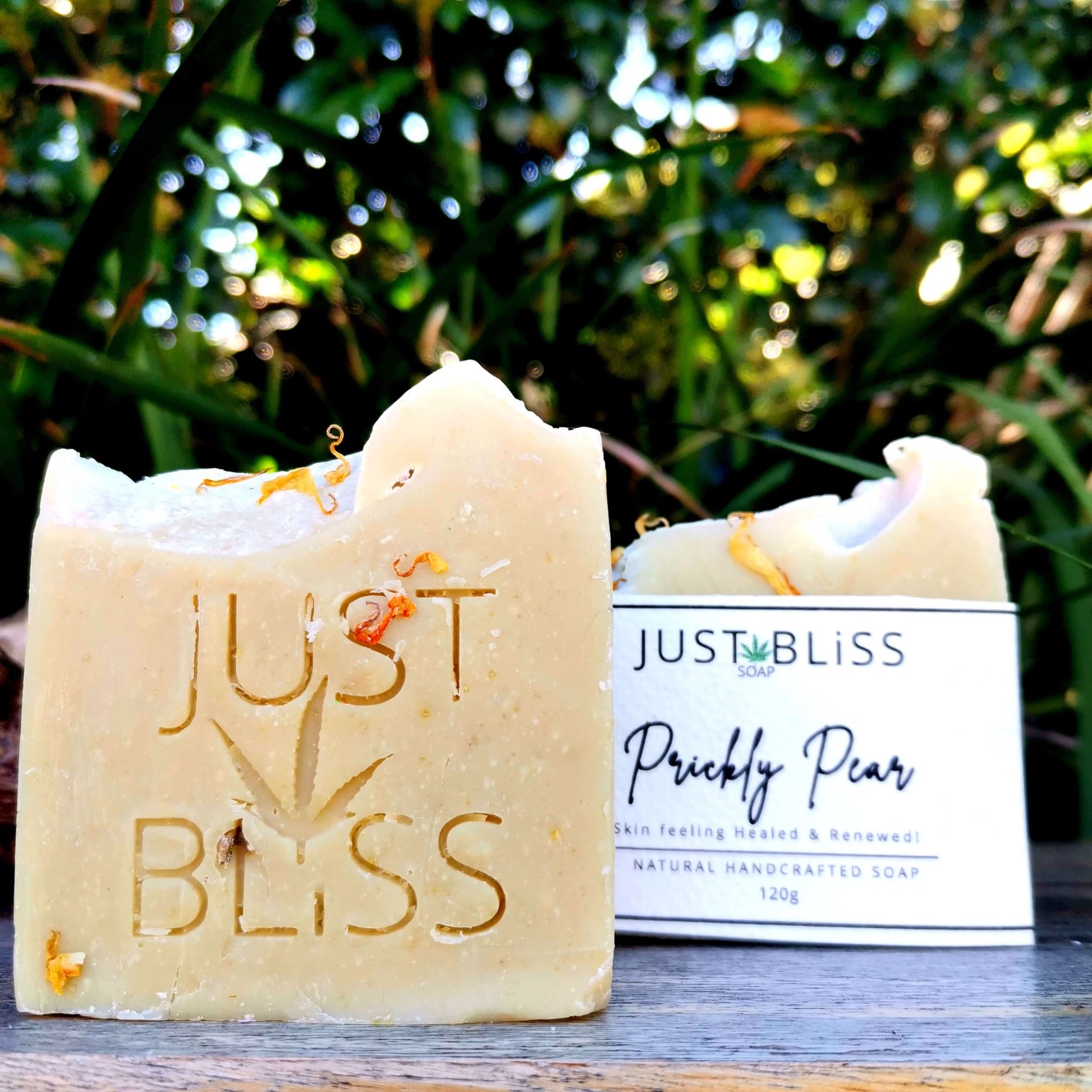 JUSTBLISS: SOAP BAR: Prickly Pear. Facial and Body