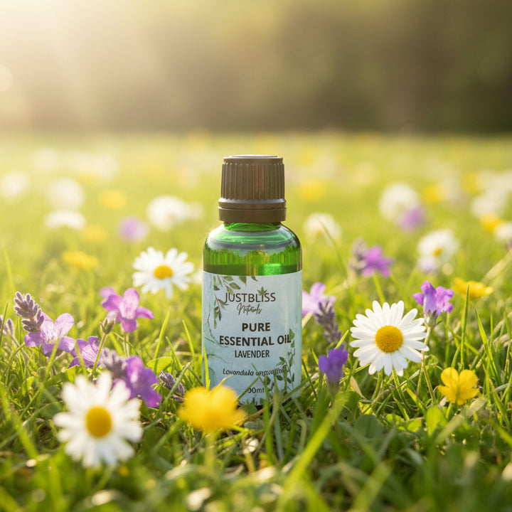 Lavender Essential Oil – Pure, Calming Aromatherapy for Wellness - JUSTBLiSS Naturals
