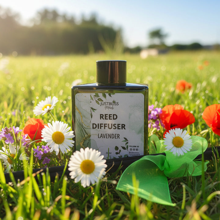 Natural Reed Diffuser – Long-Lasting Plant-Based Home Fragrance