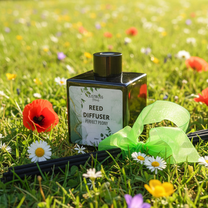 Natural Reed Diffuser – Long-Lasting Plant-Based Home Fragrance