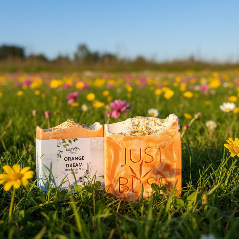 Orange Dream Natural Soap Bar – Vegan Citrus Cleanser for Radiance - JUSTBLiSS Naturals