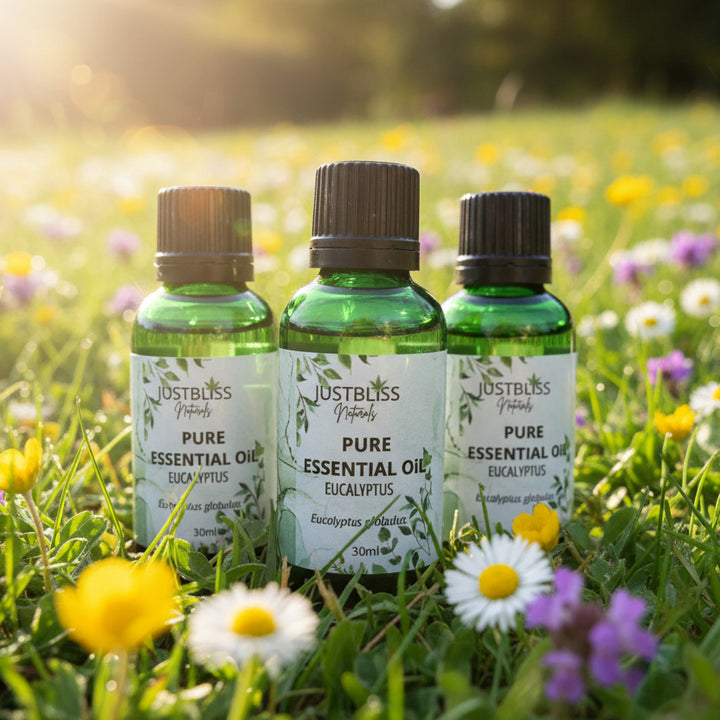 Organic Eucalyptus Globulus Essential Oil – Pure, Eco-Conscious Relief - JUSTBLiSS Naturals