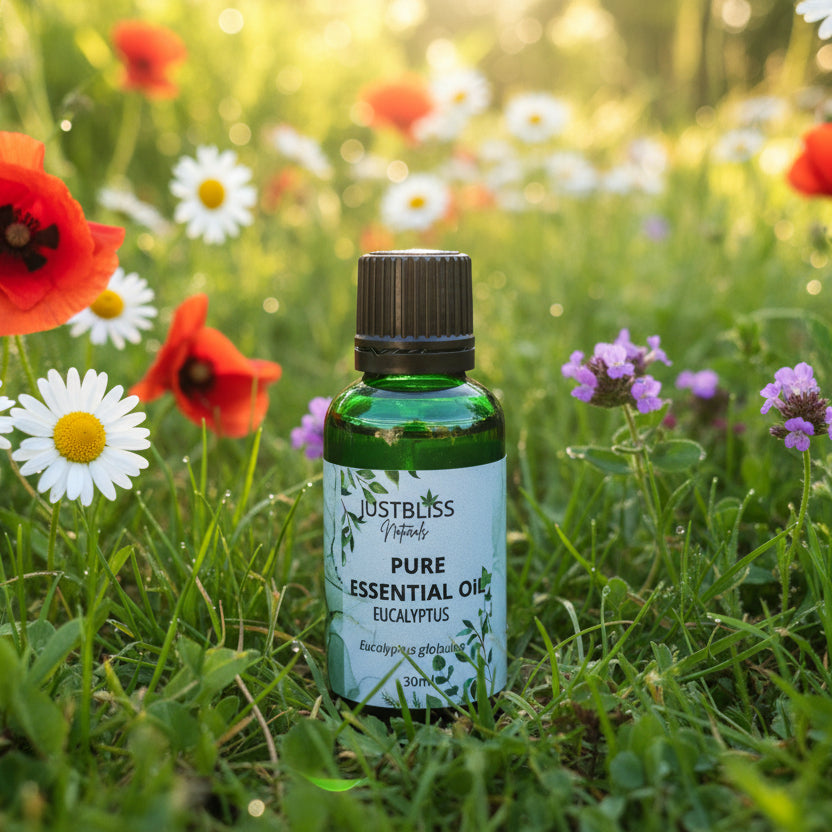 Organic Eucalyptus Globulus Essential Oil – Pure, Eco-Conscious Relief - JUSTBLiSS Naturals