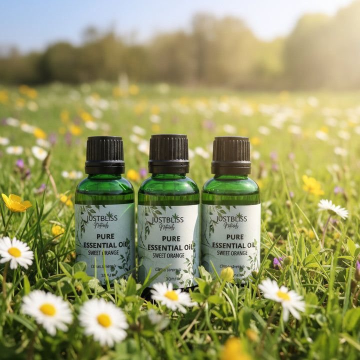 Organic Sweet Orange Essential Oil – Pure, Uplifting Aromatherapy - JUSTBLiSS Naturals